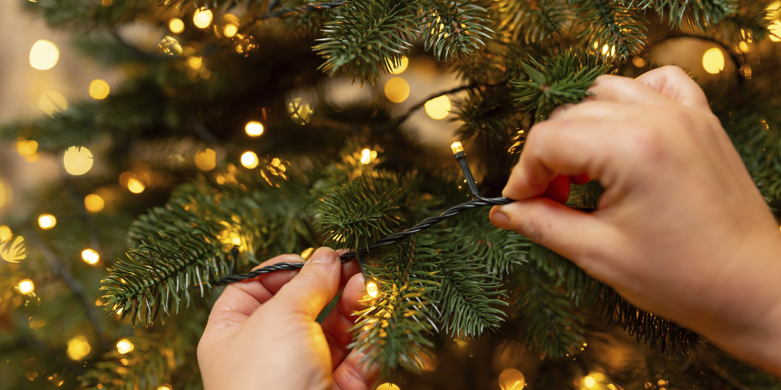 Какую гирлянду выбрать для дома и улицы