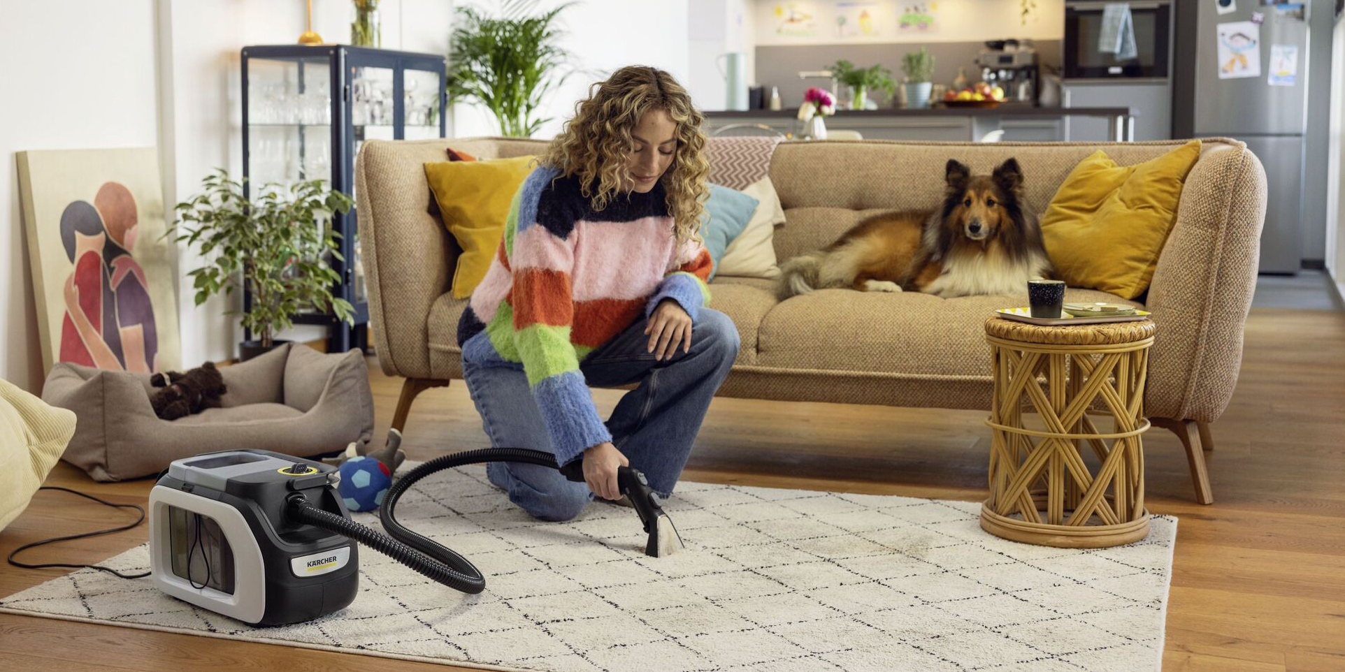 Моющий пылесос Karcher