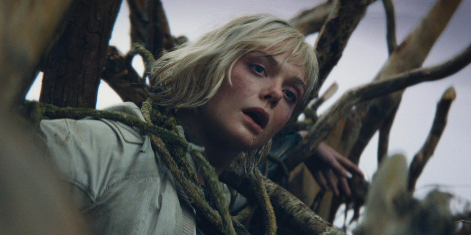 Кадр из фильма «Хищник: Планета смерти» 2025 года