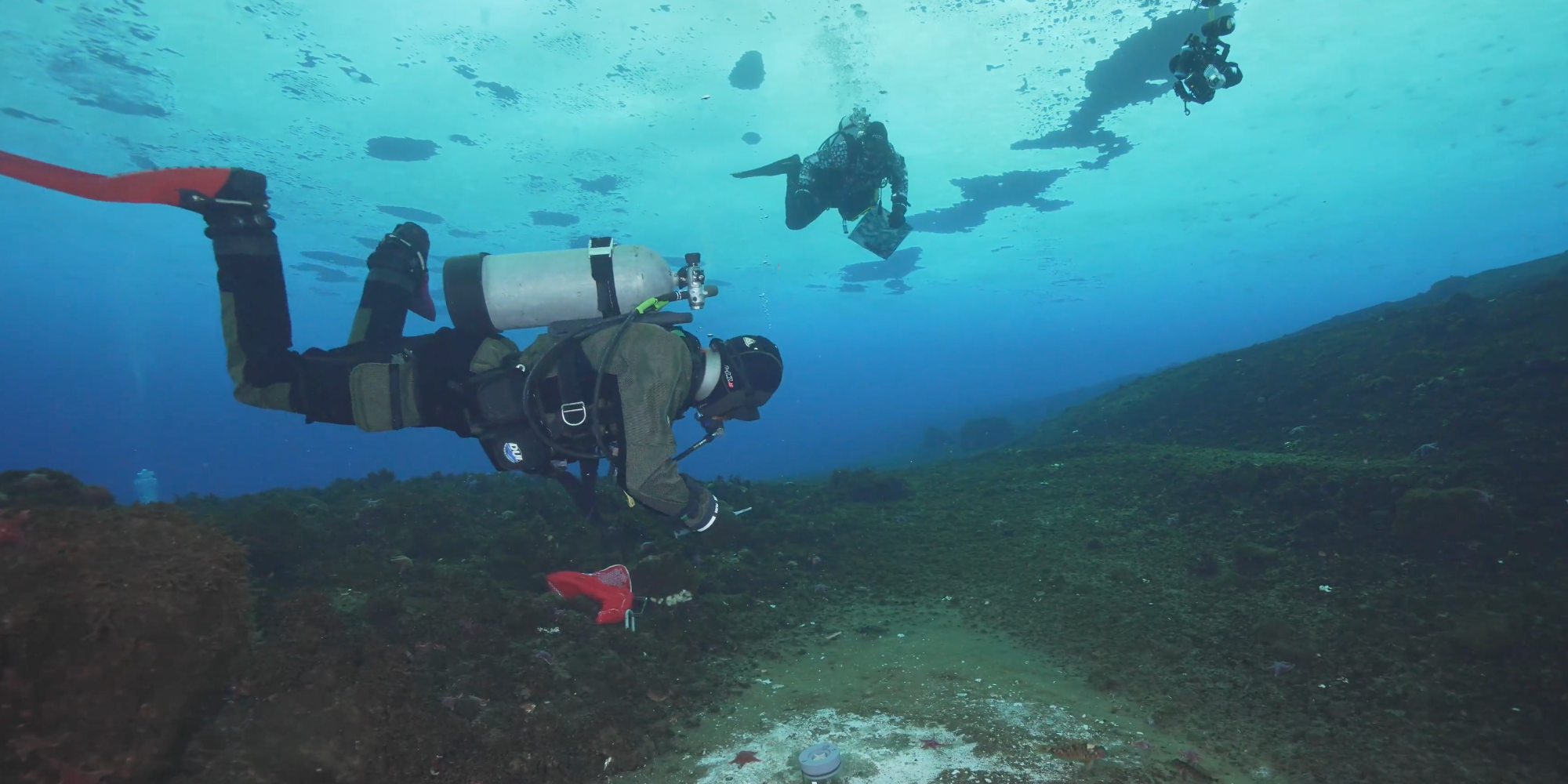 Учёные обнаружили подо льдами Антарктиды сеть из 300 скрытых каньонов