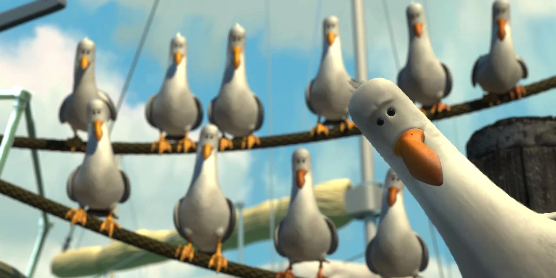 Учёные: чайки не будут вас уважать, пока вы на них не наорёте