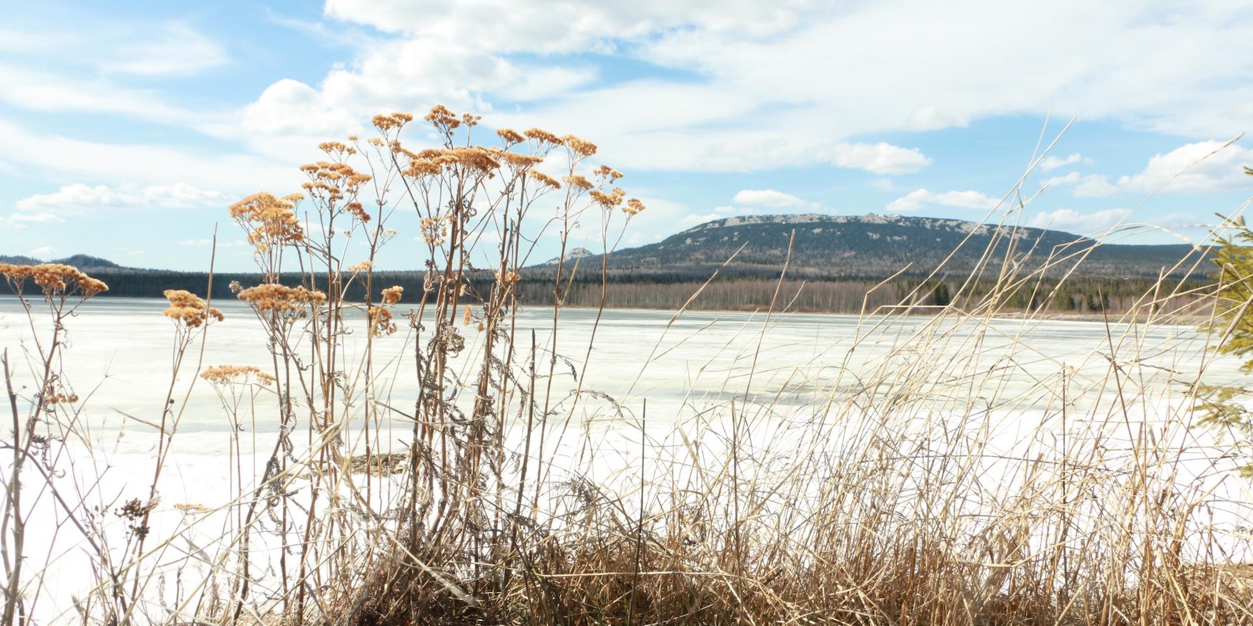Куда поехать зимой, чтобы перезагрузиться: 5 экомаршрутов по России