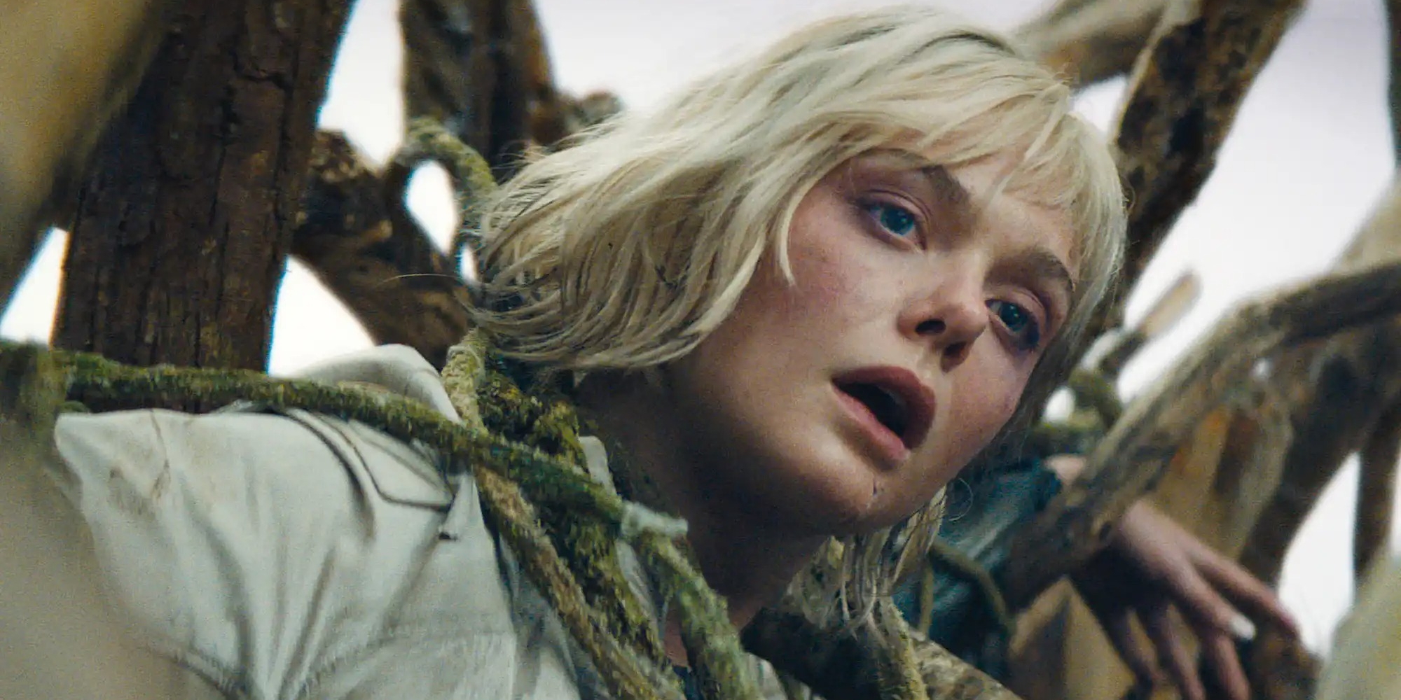 Звезда «Хищника: Планета смерти» Эль Фаннинг назвала 10 любимых фильмов