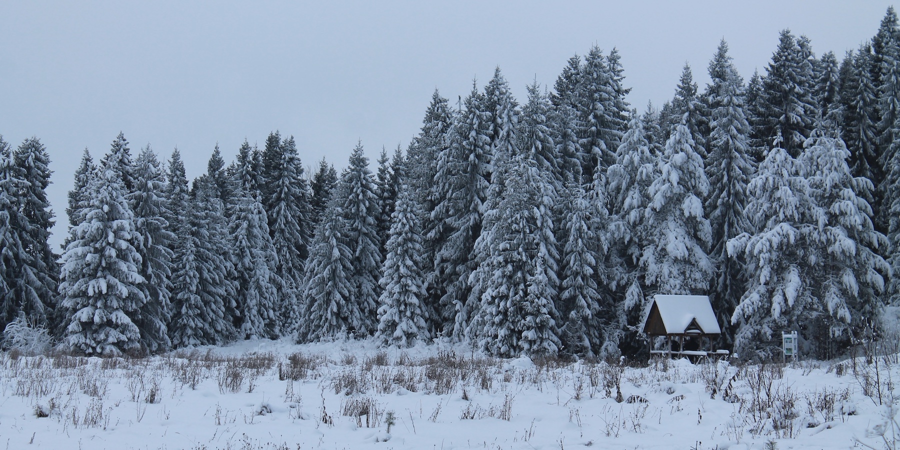 Национальный парк «Русский Север» Национальный парк «Русский Север»