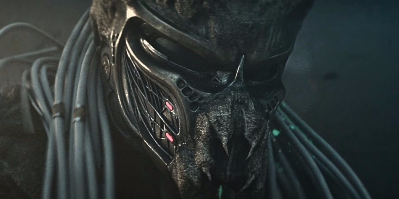 Кадр из фильма «Хищник: Планета смерти» 2025 года