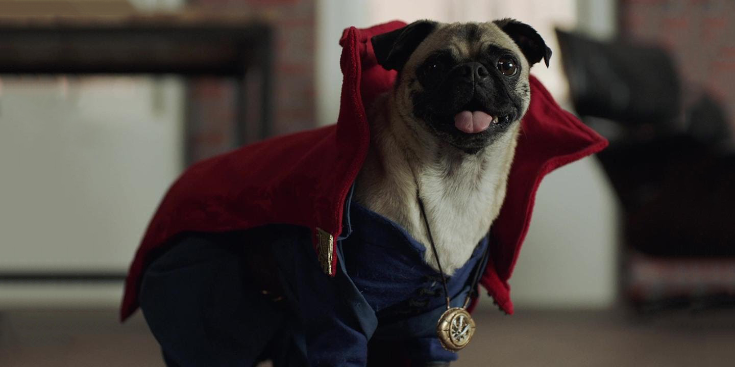 щенок за лайки