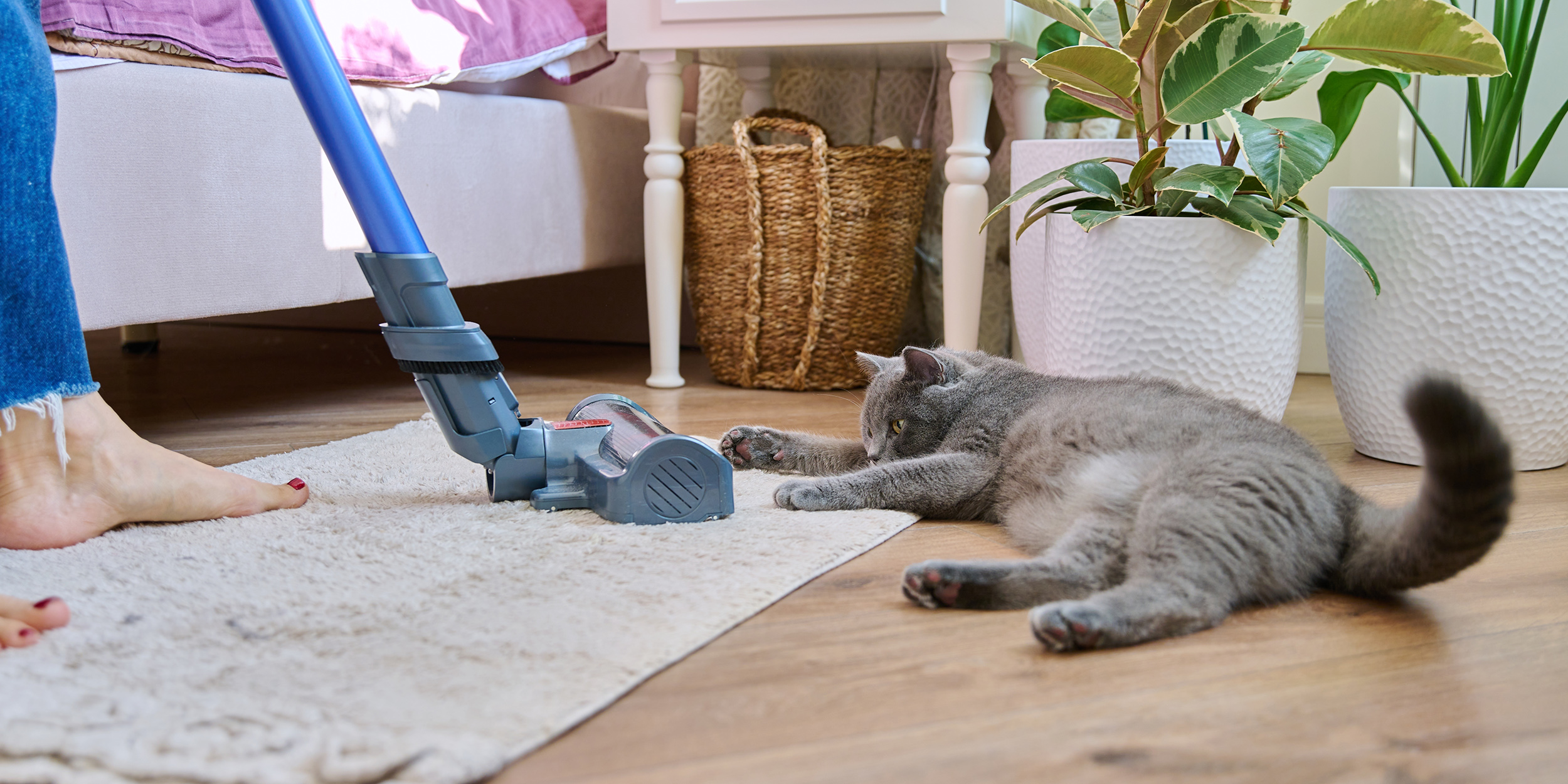 5 советов, которые помогут поддерживать порядок в доме без больших усилий