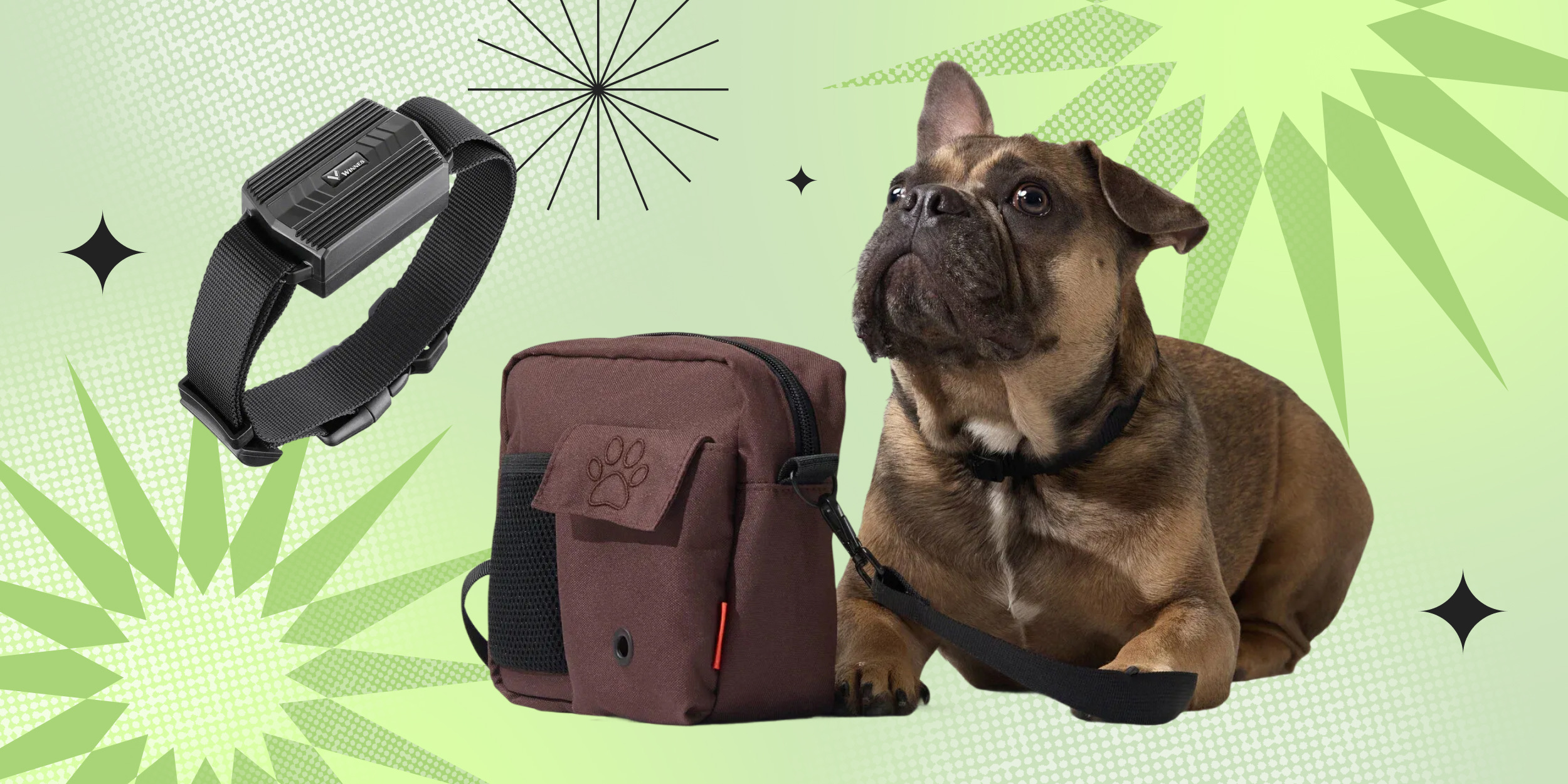 5 товаров для безопасной прогулки с собакой зимой