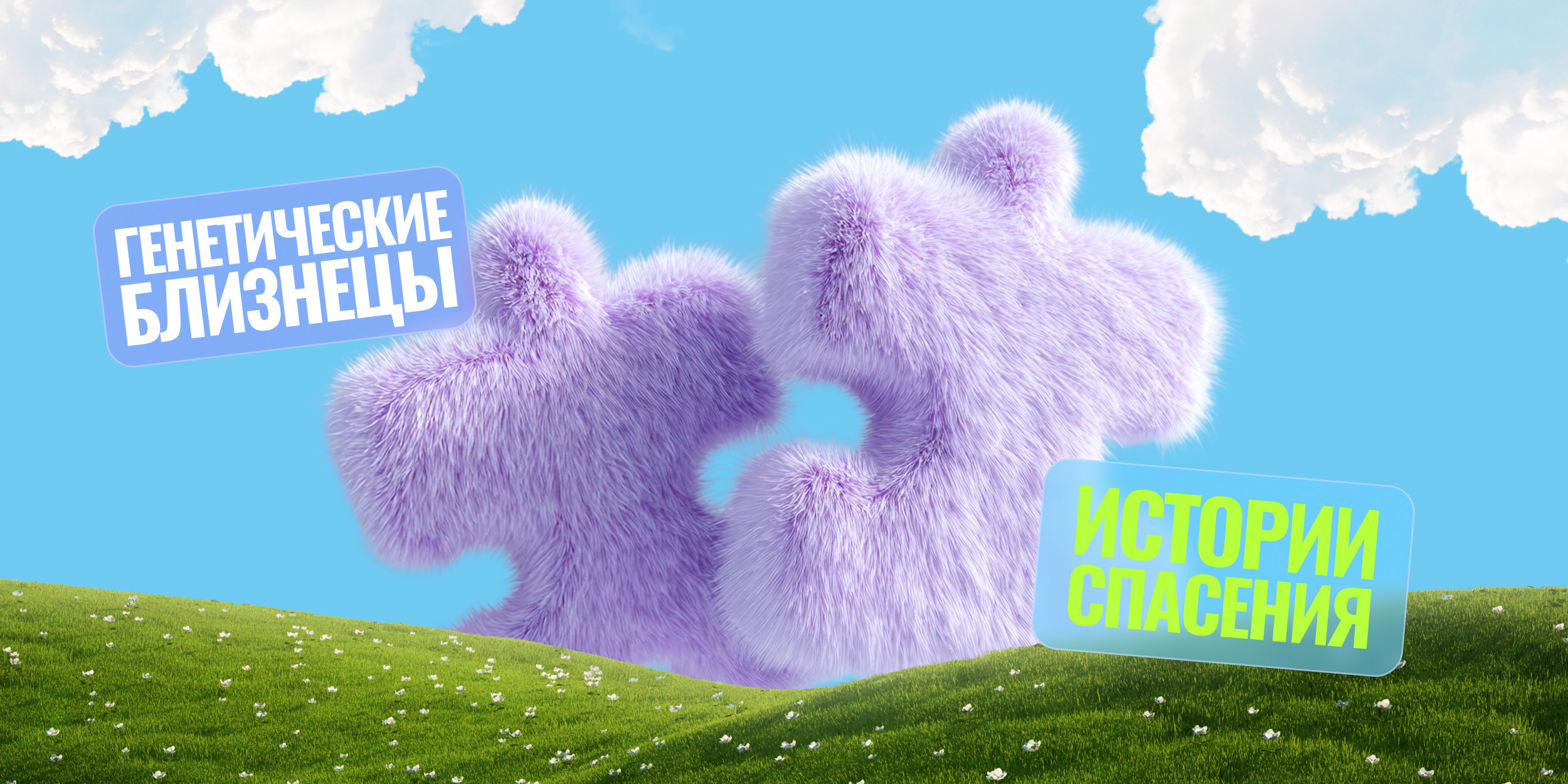 «За каждым набором клеток — человеческая история»: проект Лайфхакера о костном мозге взял бронзу премии MedMen