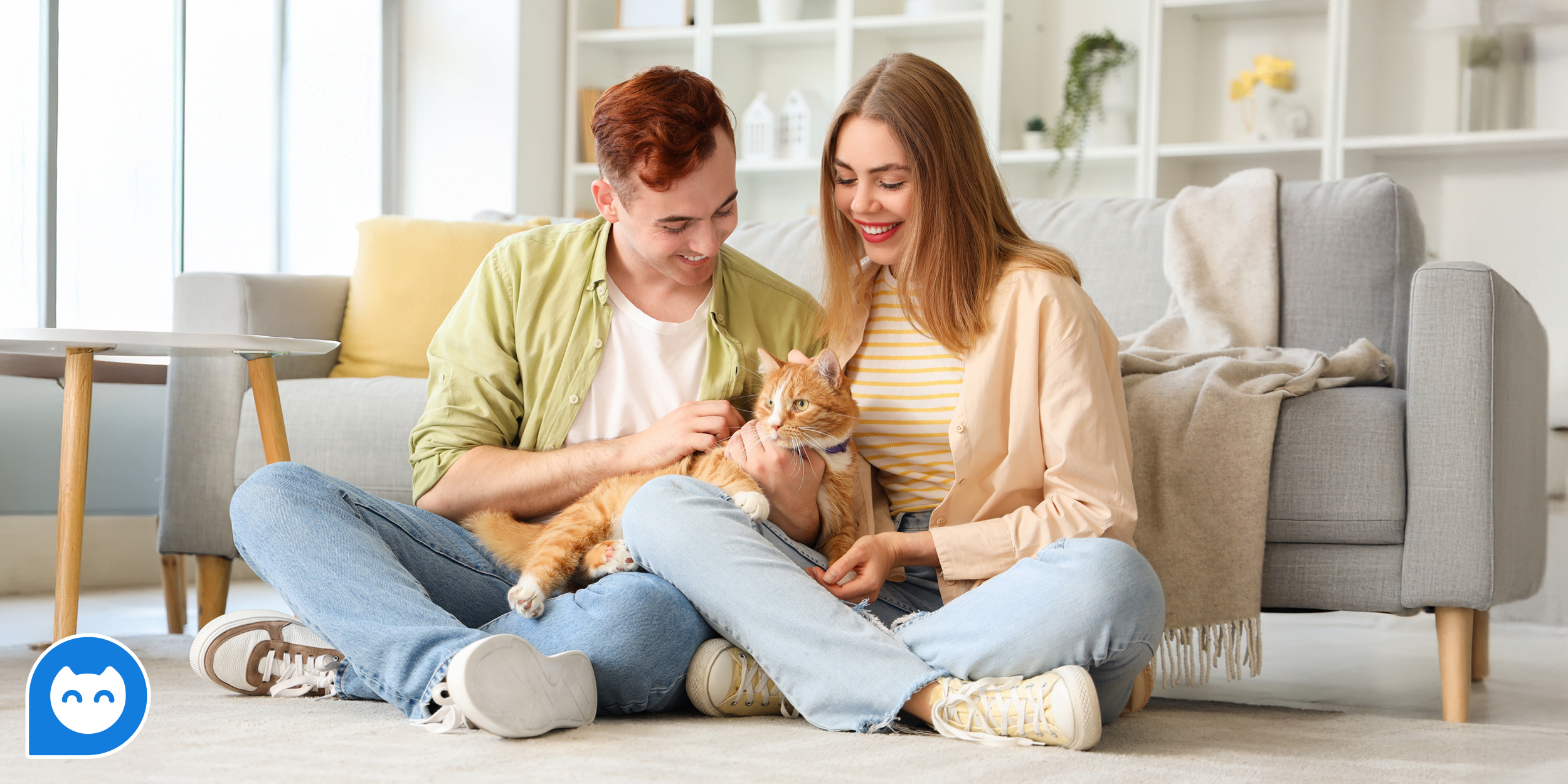 Здоровье, питание и уход: 7 вопросов, с которыми помогут в Petstory