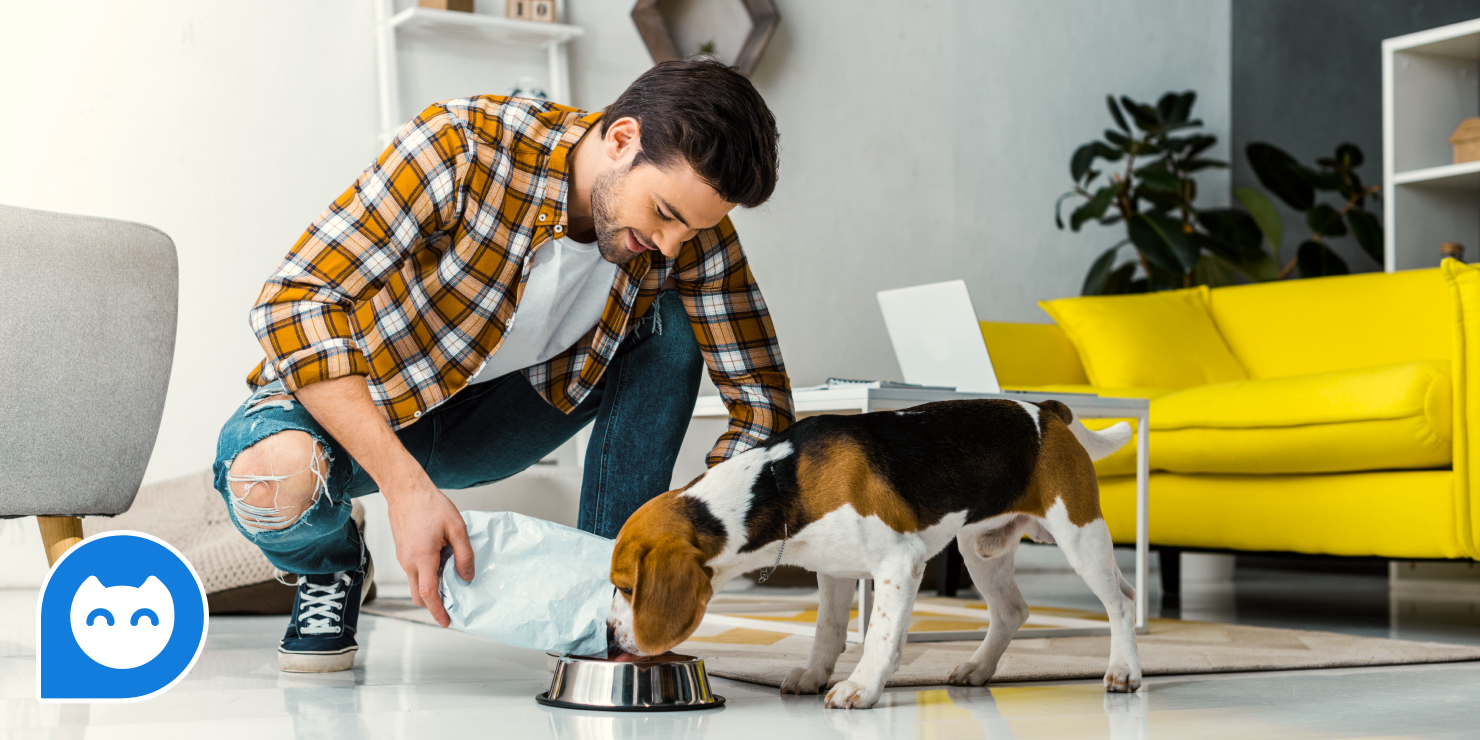 Как подобрать идеальный корм? Ветеринарные консультации онлайн: как подобрать идеальный корм?