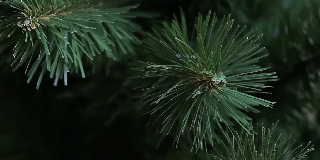 Ёлка из ПВХ Как выбрать искусственную ёлку из ПВХ