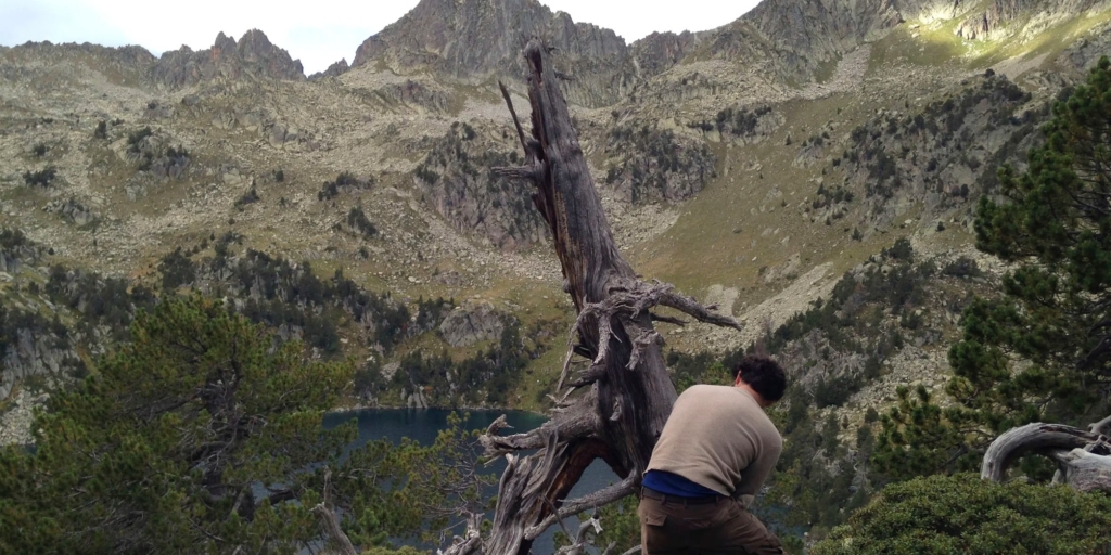 Учёные из Кембриджа рассказали, как в Европу пришла самая смертоносная чума — из-за вулканов