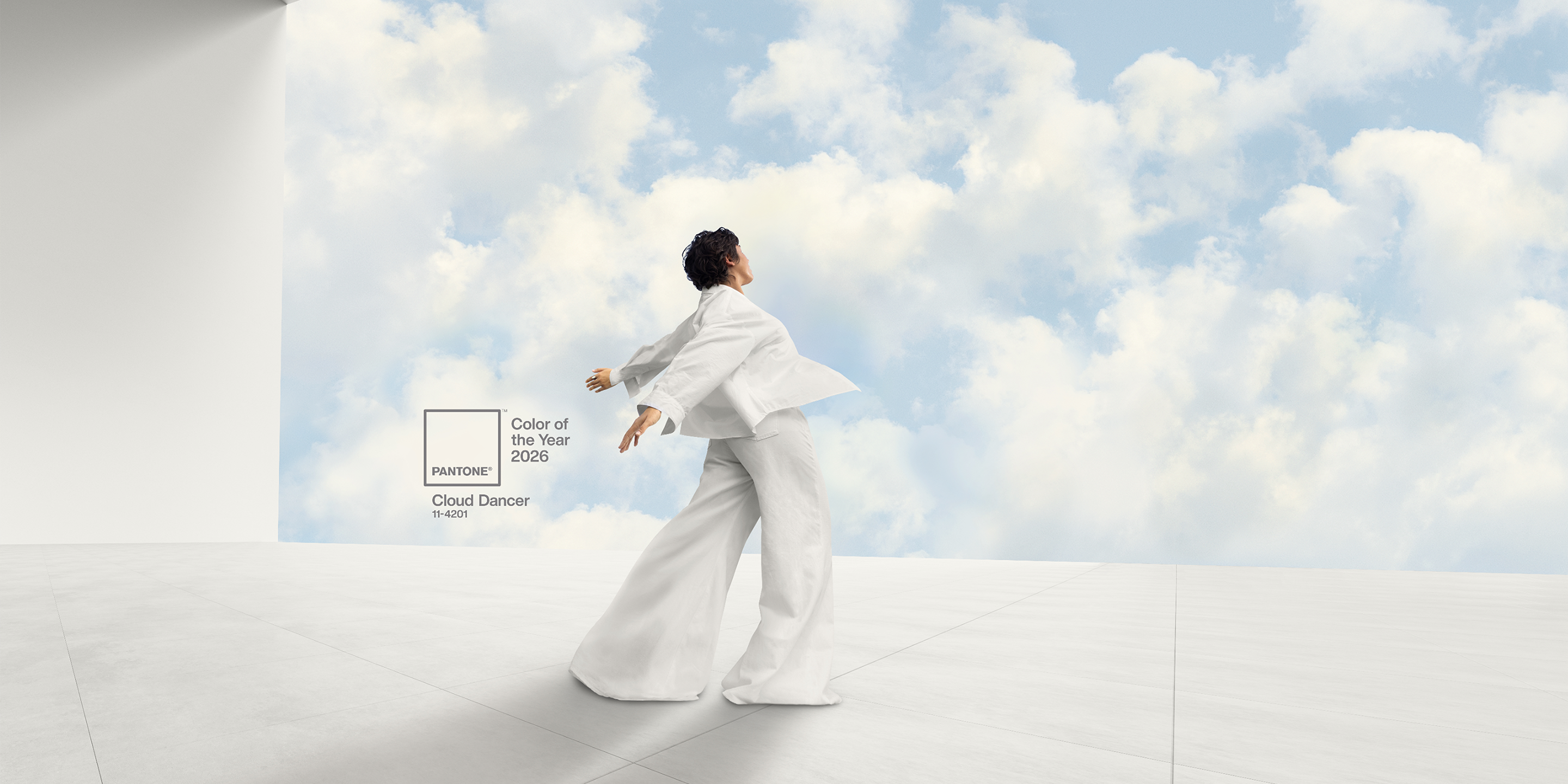 цвет 2026 года