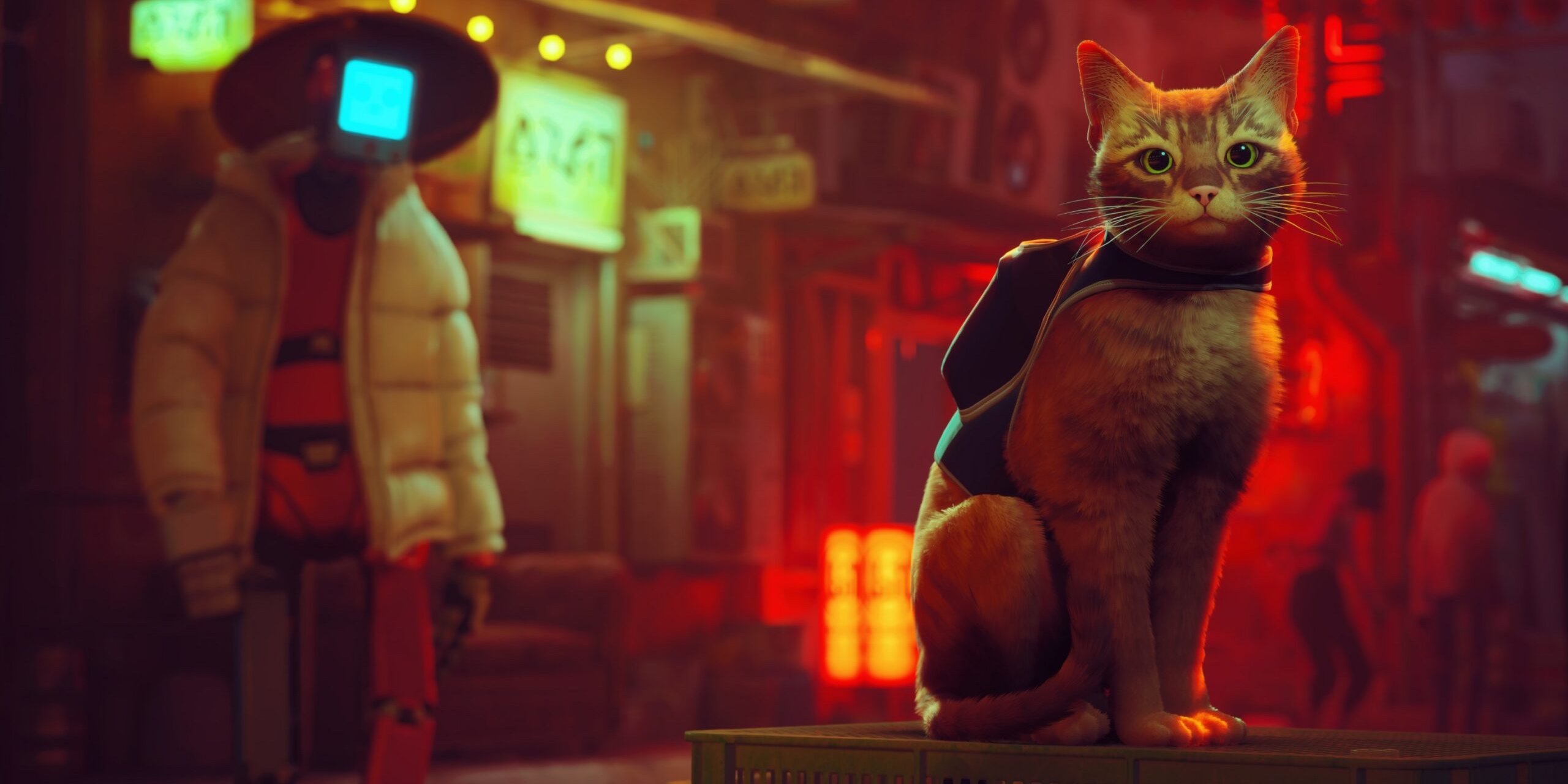 Stray — атмосферная игра про приключения кота в постапокалипсисе