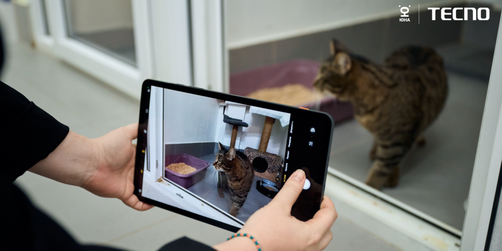 Креативные объявления от TECNO