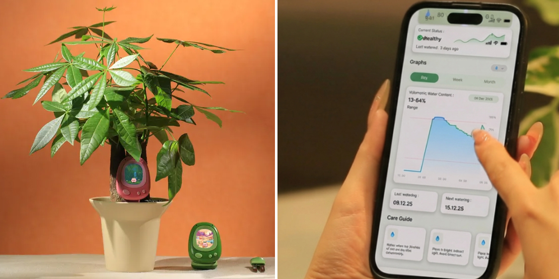 SoildTech Senso — «тамагочи» с ИИ для ухода за растениями с CES 2026