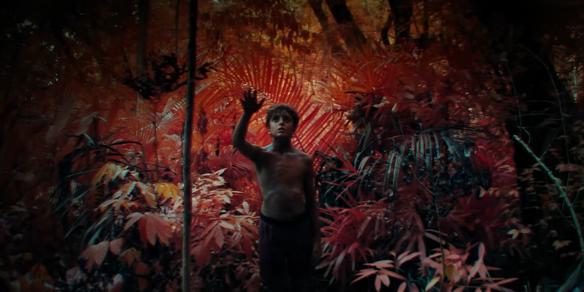 Сериал по культовому роману «Повелитель мух» получил первый трейлер и дату премьеры