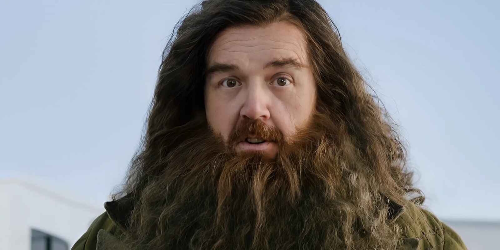 хагрид в сериале гарри поттер