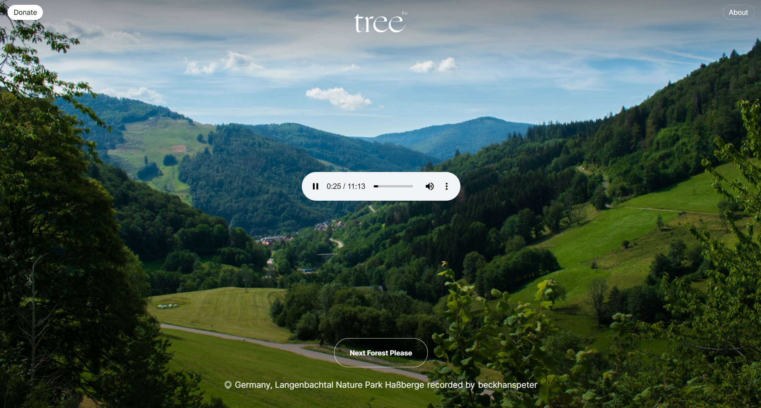 Звуки леса на tree.fm Звуки леса на tree.fm