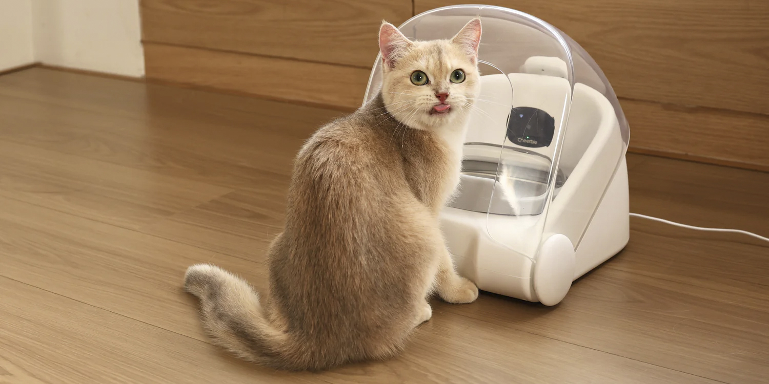 Pet Feeder Match G1 — кормушка для кошек с фейсконтролем