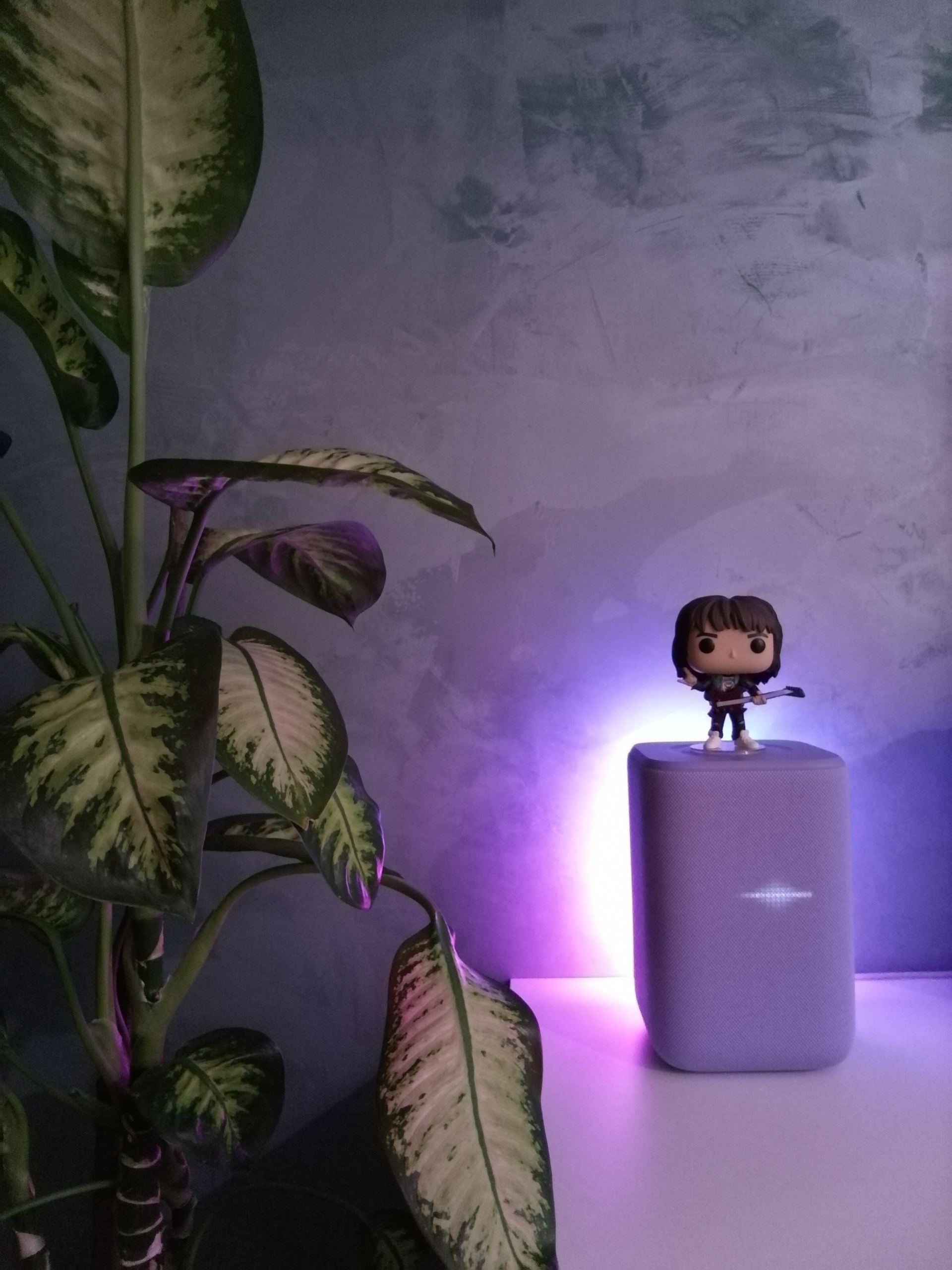 Фото на основную камеру Фото на основную камеру