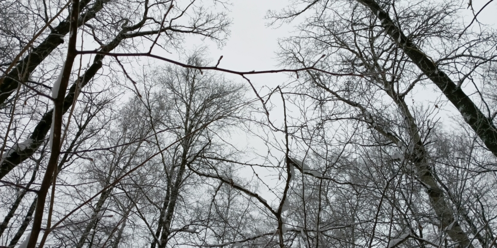 Снимки на TECNO MEGAPAD Pro