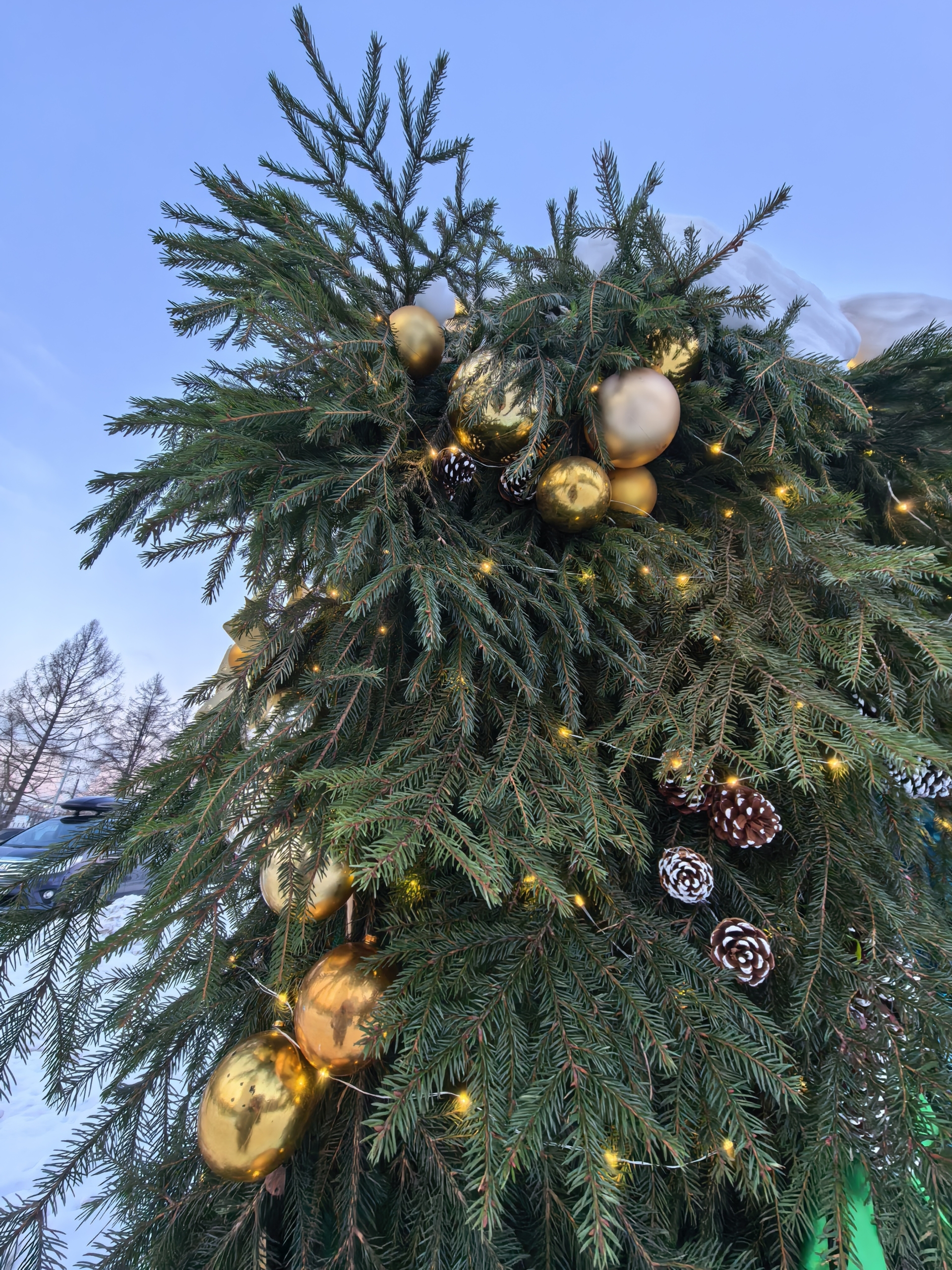 Фото на ультраширокоугольную камеру Фото на ультраширокоугольную камеру