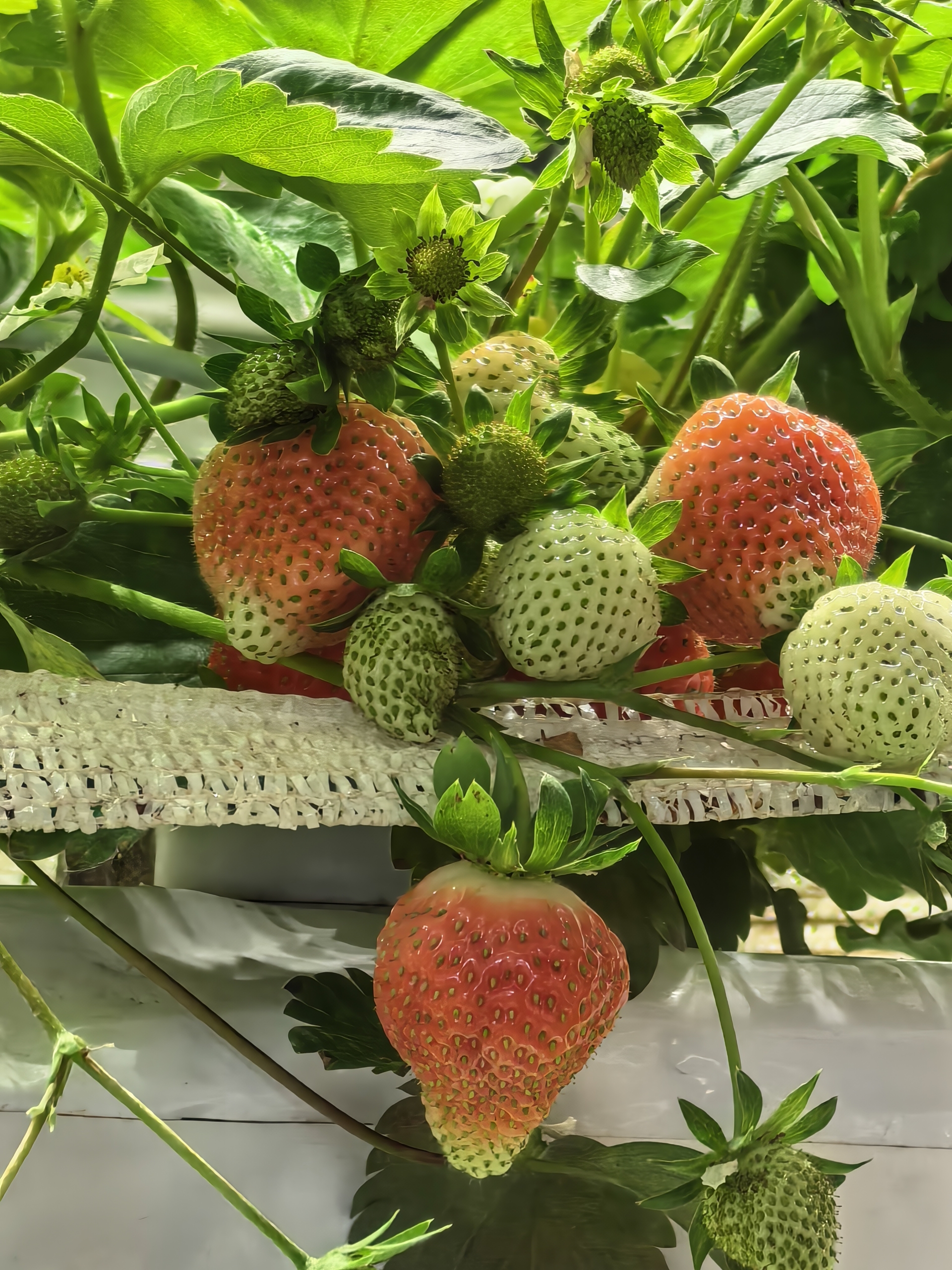 Фото на телевик Фото на телевик