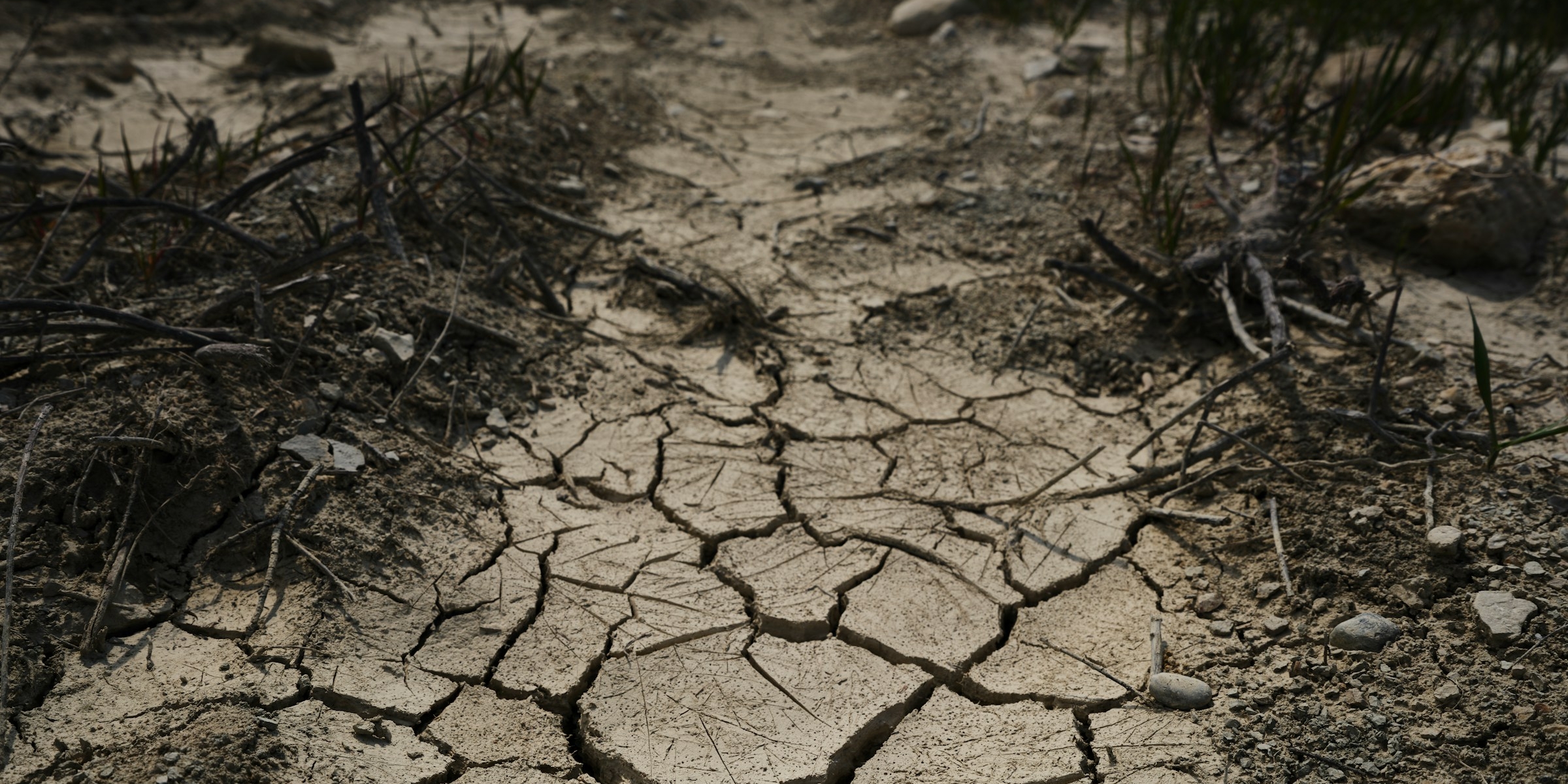Уже не просто дефицит: ООН сообщила о начале эпохи «глобального водного банкротства»