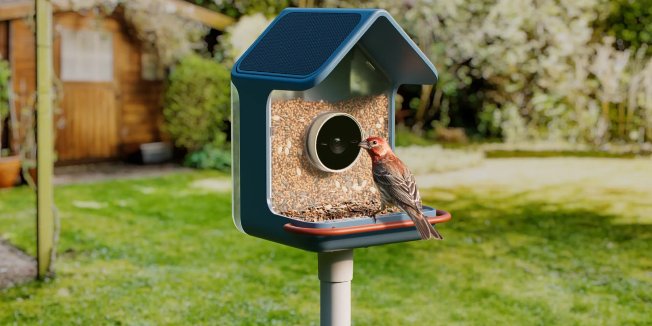 Birdbuddy 2 — умная кормушка для птиц