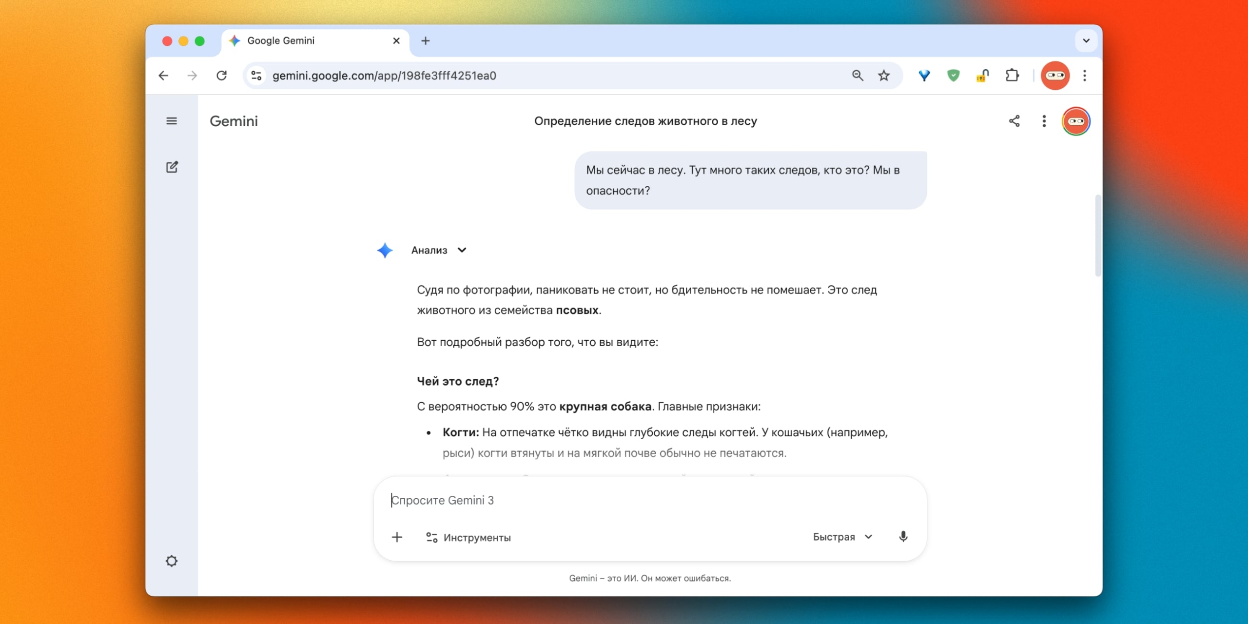 Как использовать ИИ: анализ следов в лесу