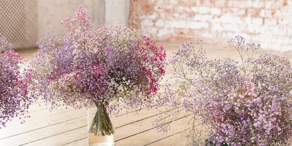 Цветы, которые долго стоят в вазе: гипсофила