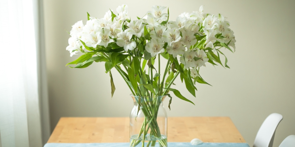 Какие цветы долго стоят в вазе: альстромерия