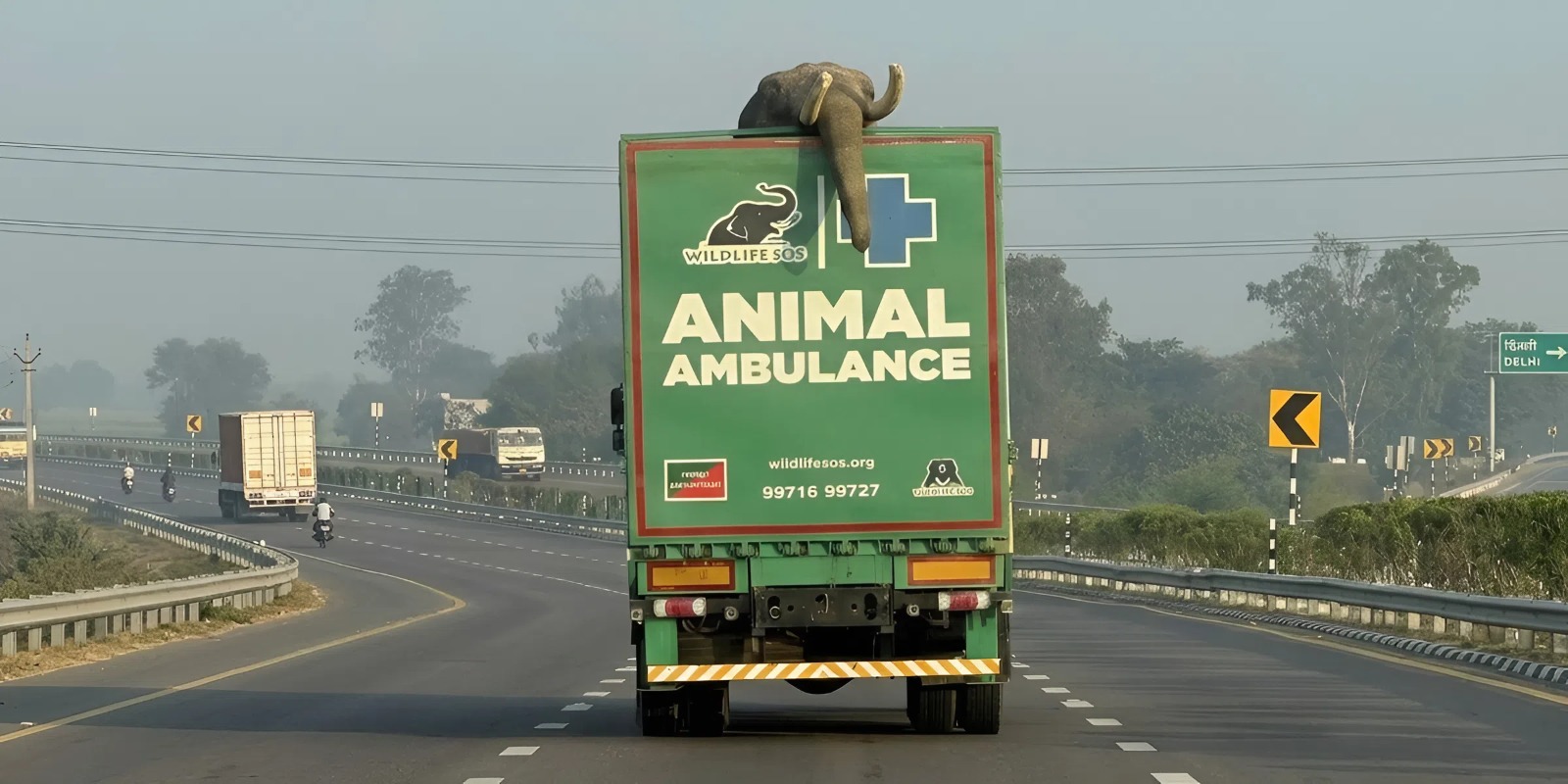 В Индии заработала «слоновья скорая помощь» — для неё создали специальный грузовик