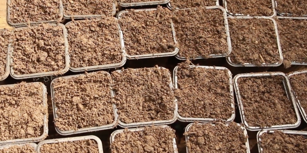 Подготовьте стаканчики Подготовьте стаканчики