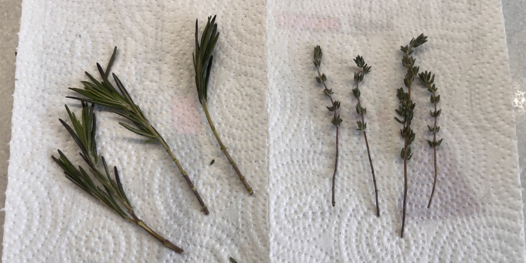 Как вырастить зелень дома: подготовьте черенки