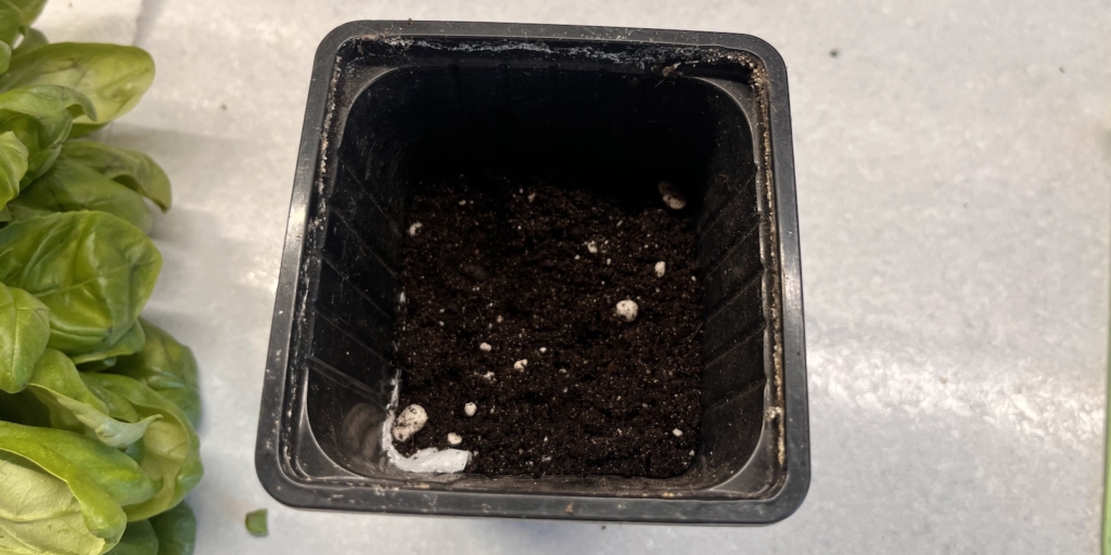 Заполните горшочки грунтом