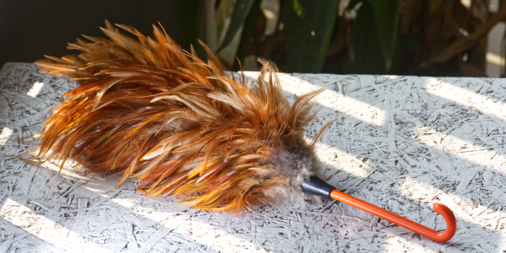 Что такое пипидастр из натуральных перьев