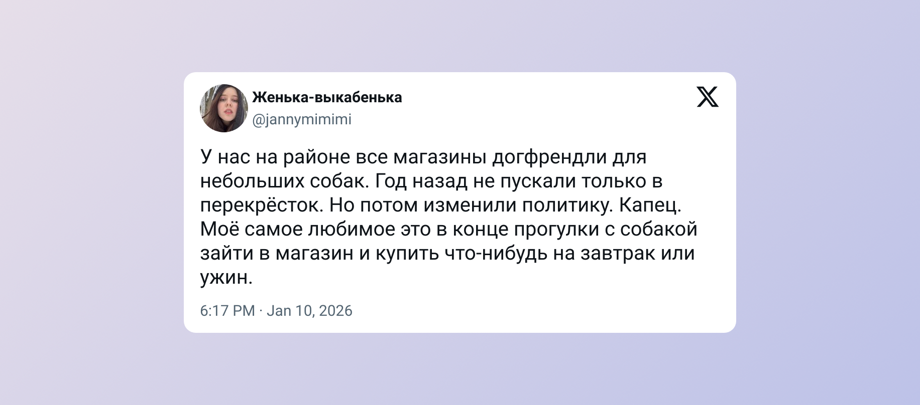 Собаки в общественных местах: позиция за