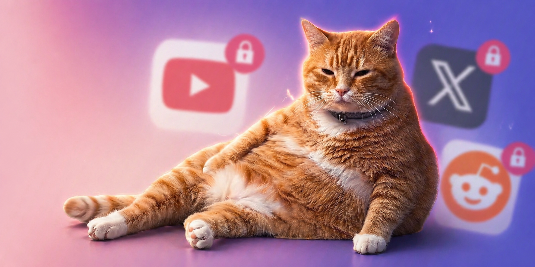 «Он такой пухленький»: для Chrome вышло расширение с сонным рыжим котом, который не даёт листать соцсети