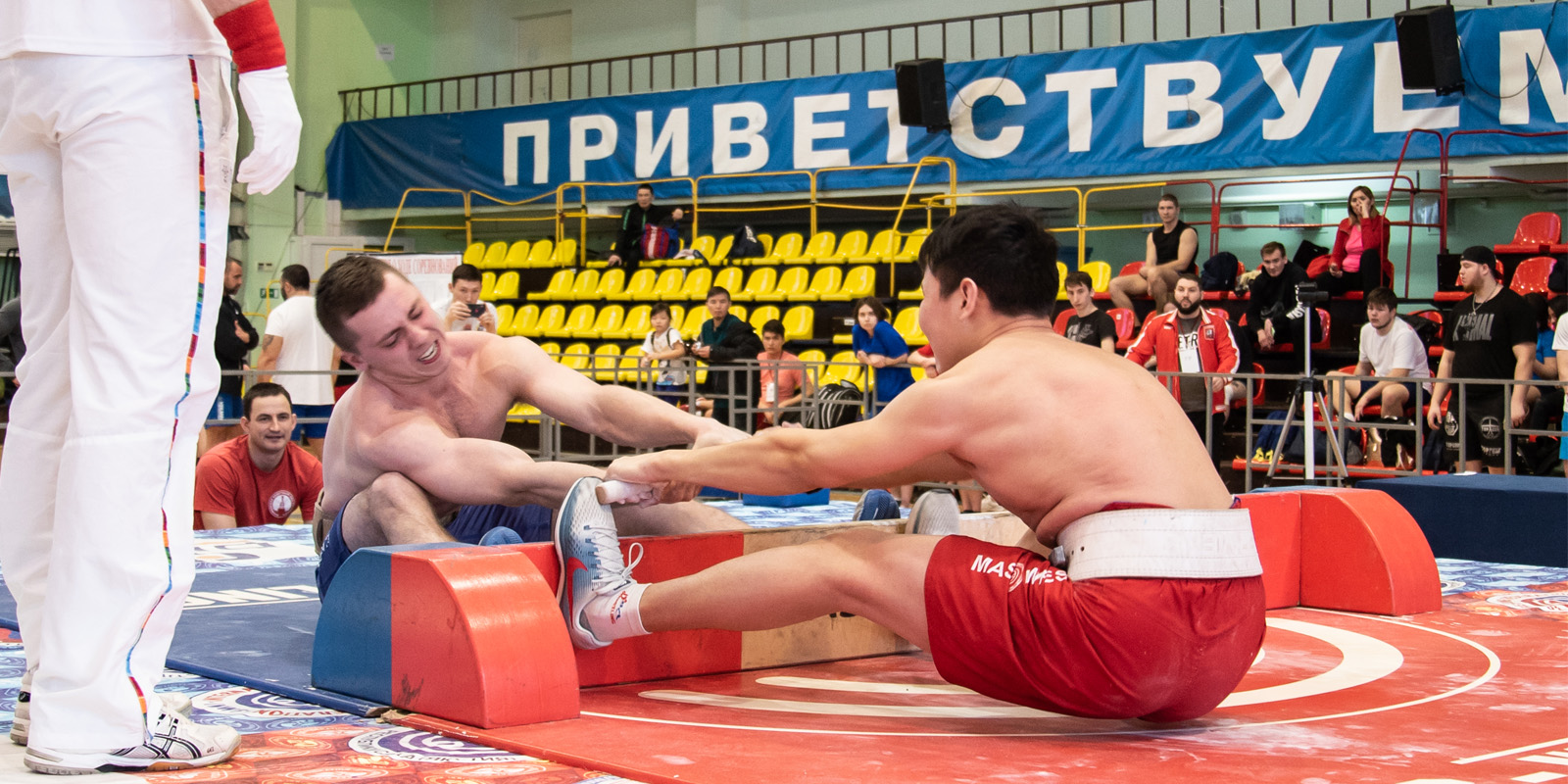 Мас-рестлинг