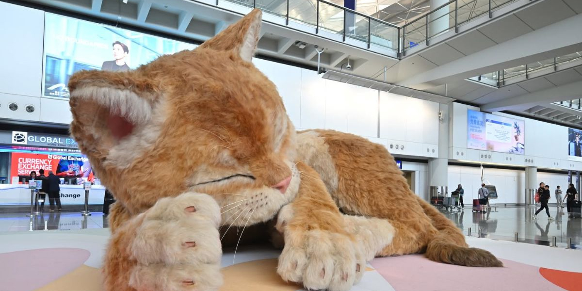В аэропорту Гонконга появился 8-метровый рыжий кот — он мурчит и шевелит ушами