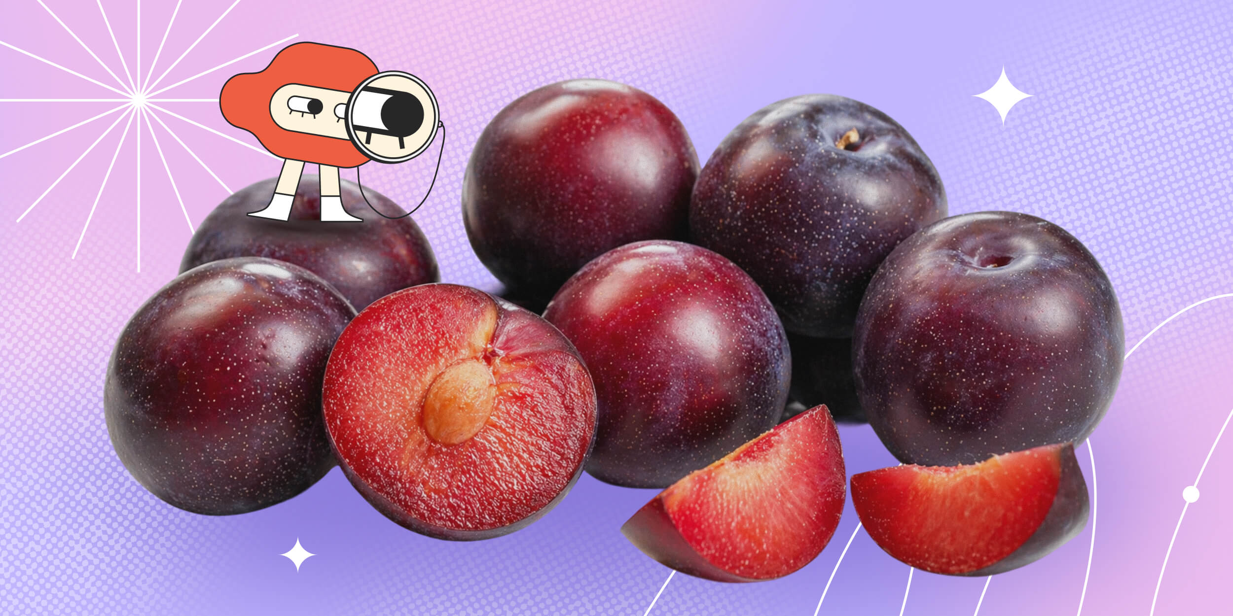 Что такое шарафуга и как её выращивать