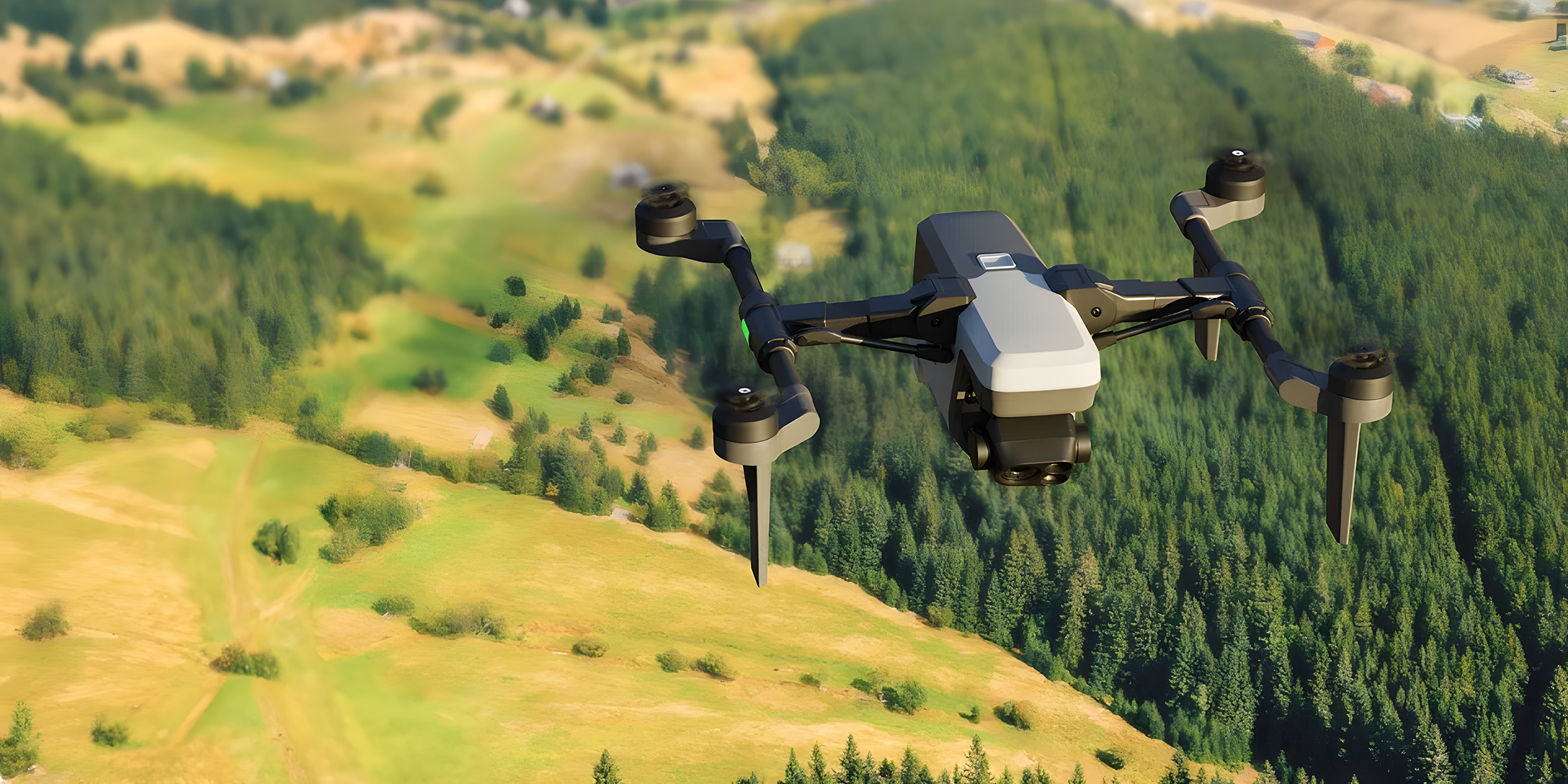 Как используются дроны в лесном хозяйстве