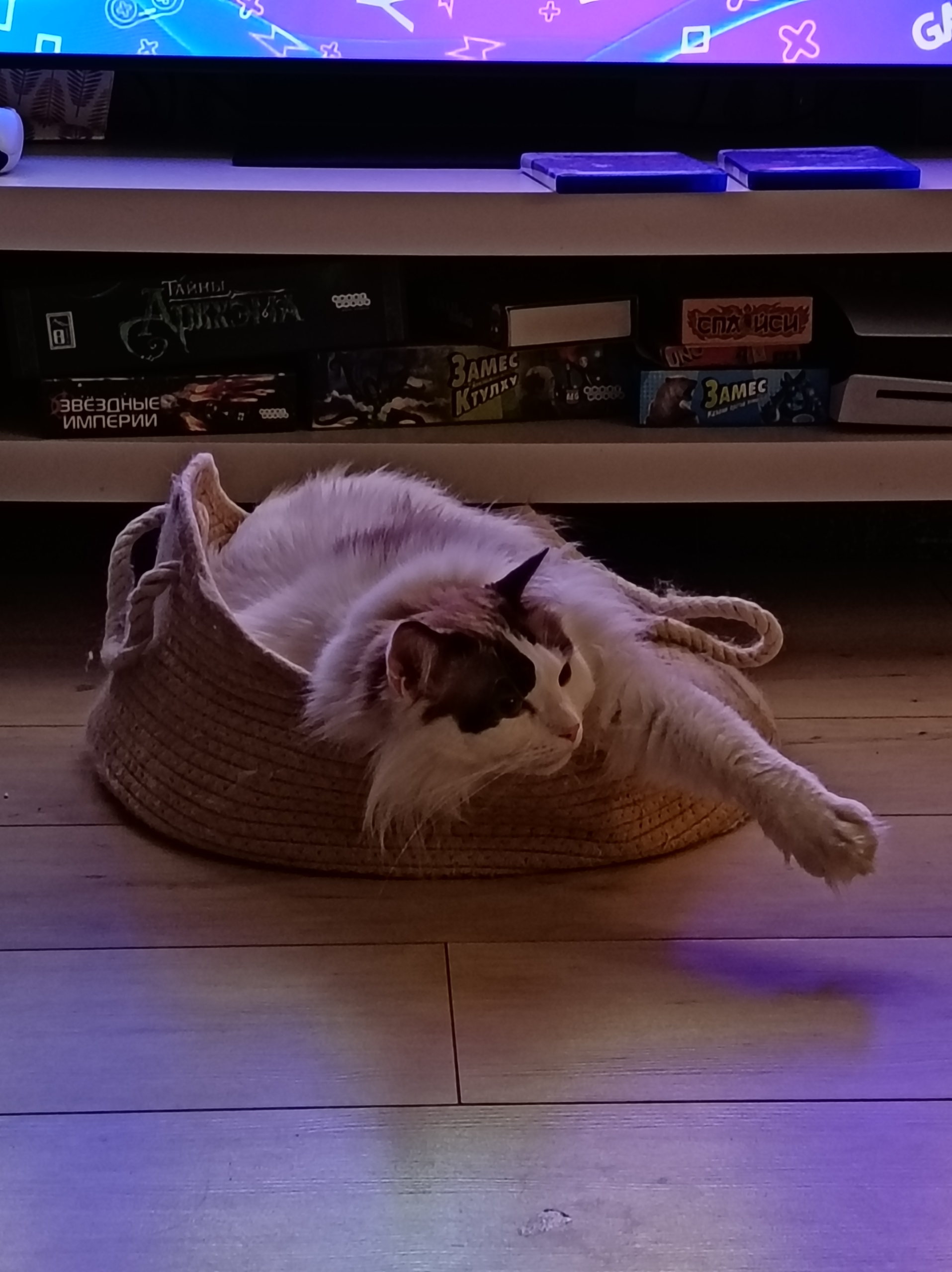 Камеры Обзор Honor 600 Lite: камеры