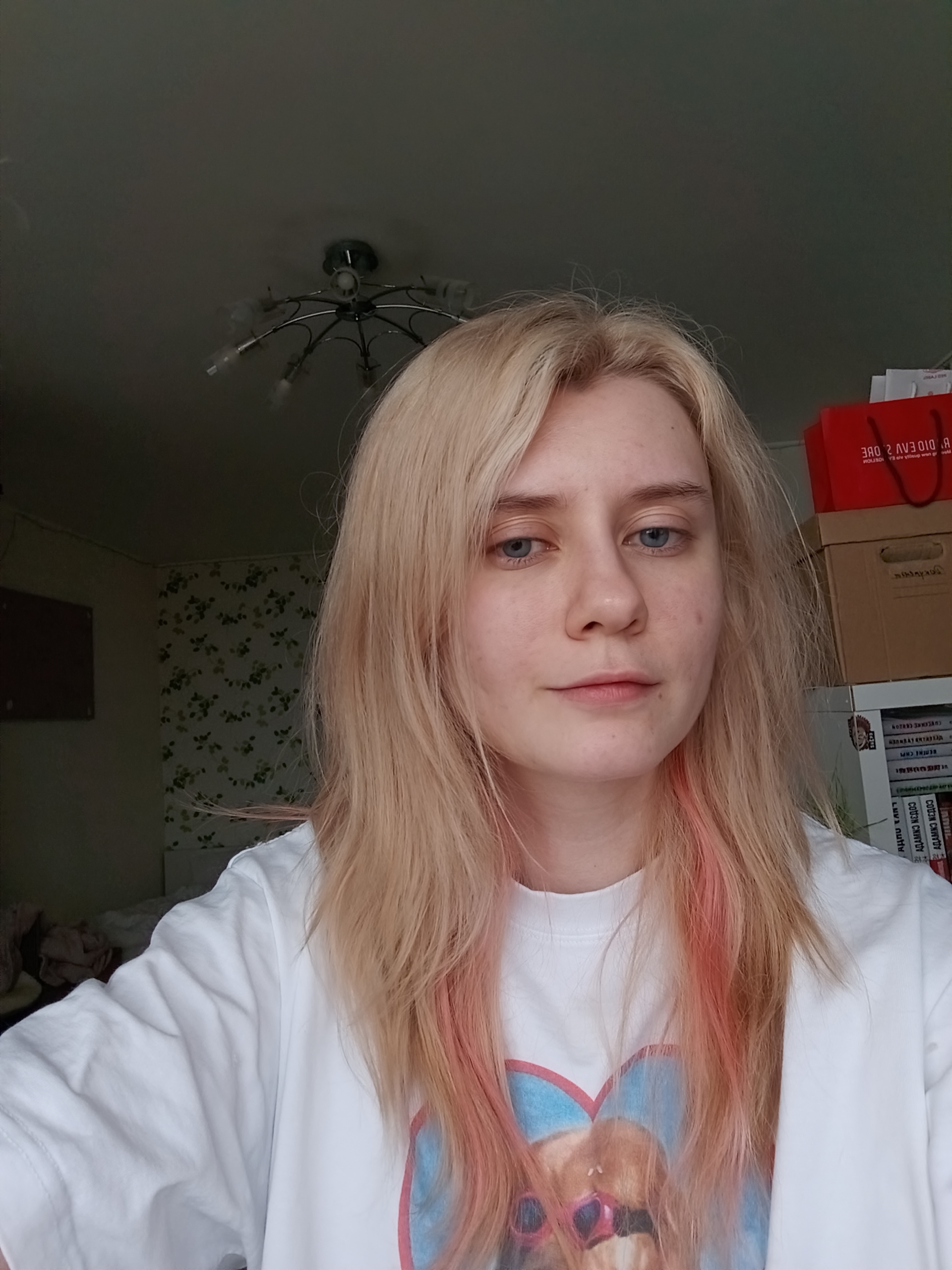 Портрет при плохом освещении Обзор Honor 600 Lite: портрет при плохом освещении