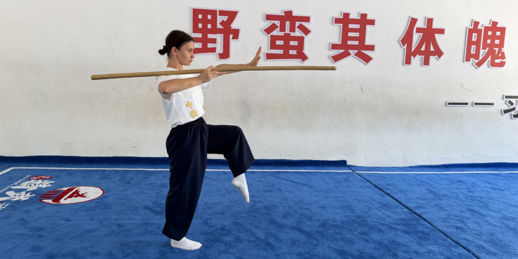 Тренировка в школе кунг-фу