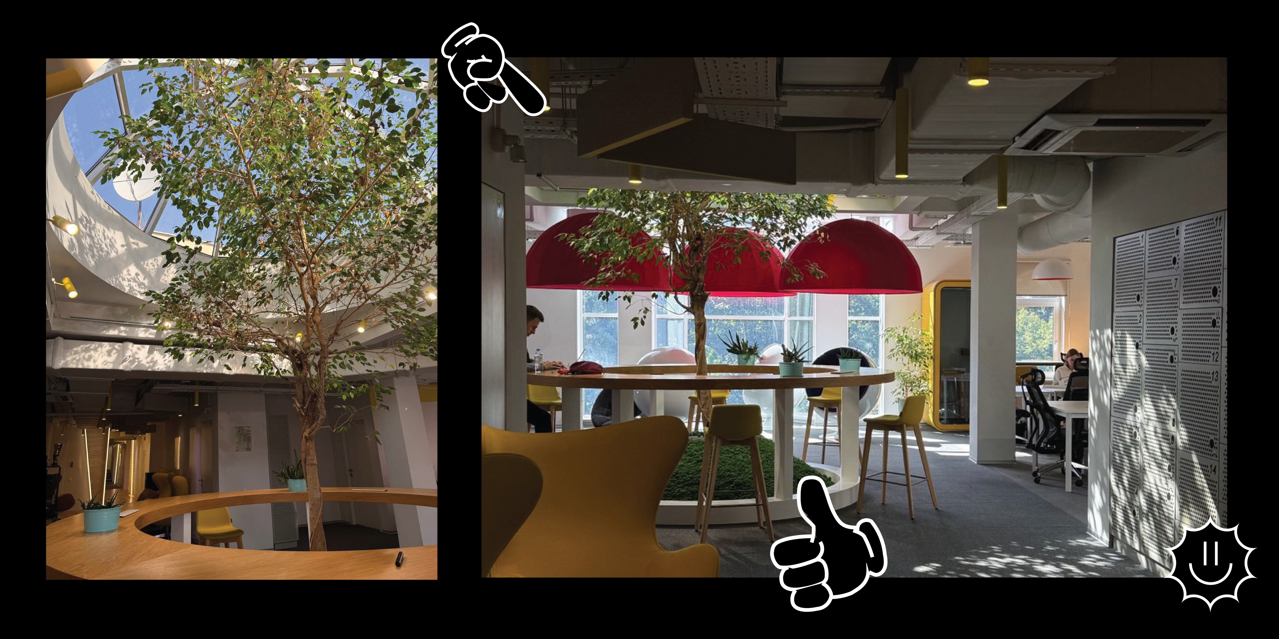 Добавьте зелени и поиграйте со светом Добавьте зелени и поиграйте со светом