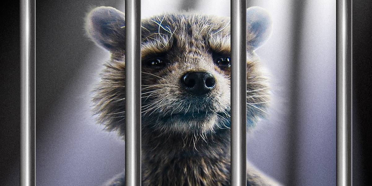 OpenAI запретила ИИ упоминать голубей, енотов и гоблинов